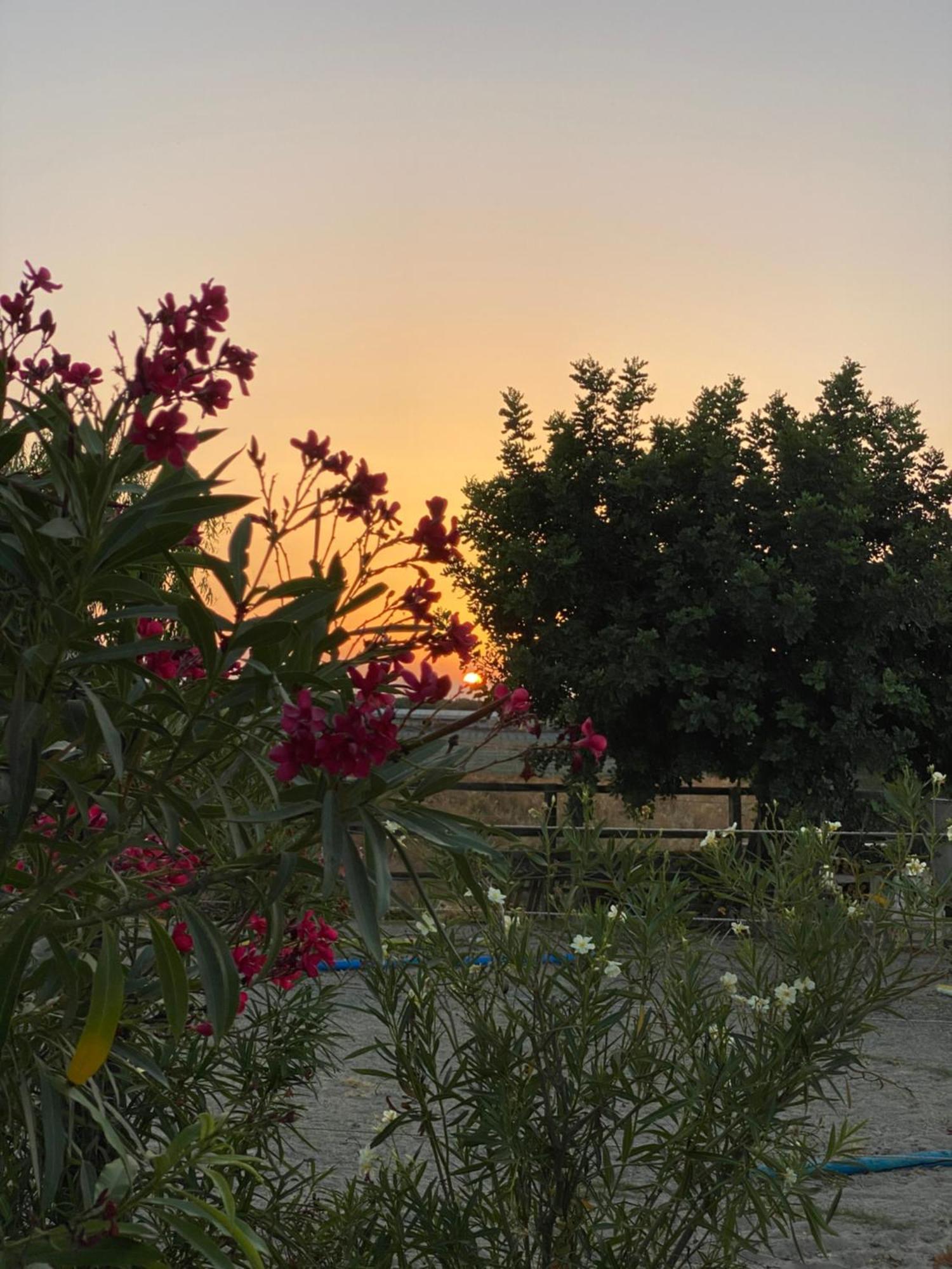 Arion Stables & Apartments Chersonissos Buitenkant foto